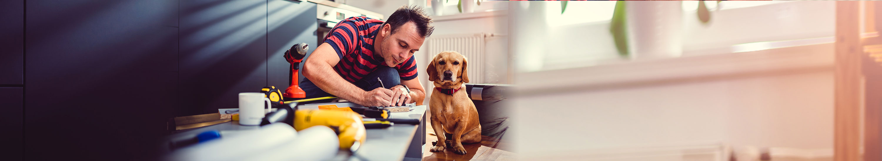 Man and dog doing home improvements