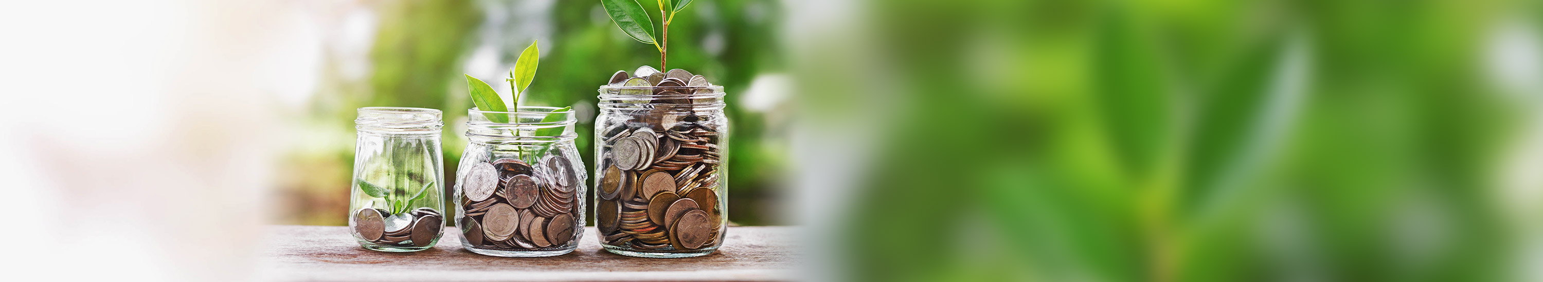 Coins in jars